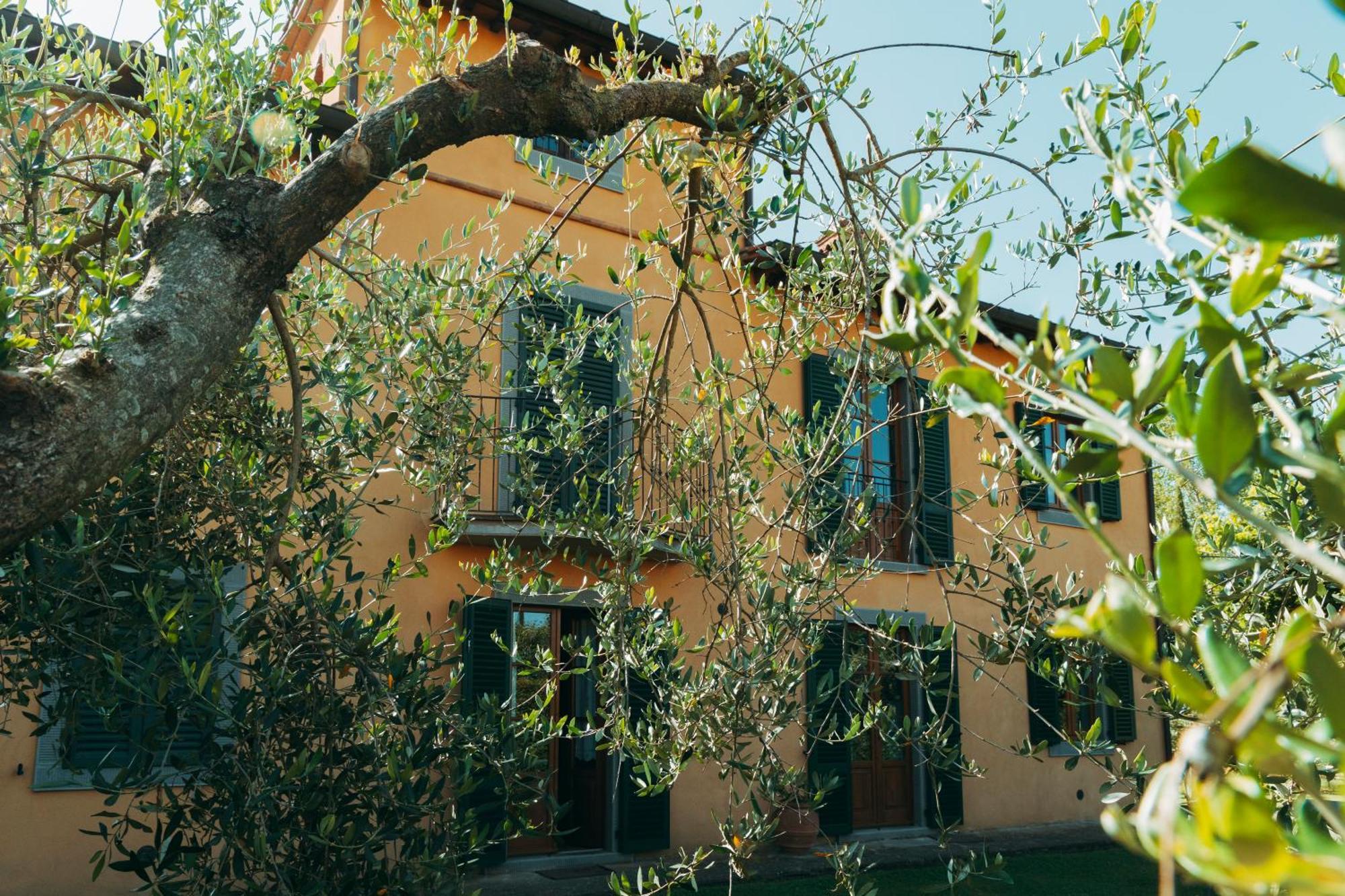 Agriturismo Il Borgo Cortona Eksteriør billede
